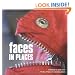 Faces in Places: A Photographic Collection of Faces found in Everyday Places