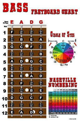 4 String Bass Instructional Poster with Nashville Numbering System