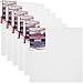 US Art Supply 20 X 20 inch Professional Quality Acid Free Stretched Canvas 6-Pack - 3/4 Profile 12 Ounce Primed Gesso - (1 Full Case of 6 Single Canvases)