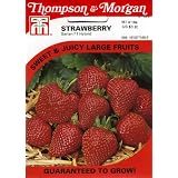 Thompson & Morgan 998 Strawberry Sarian Seed Packet