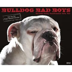 Bulldog Bad Boys 2012 Calendar