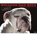 Bulldog Bad Boys 2012 Calendar