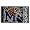 Memphis Tigers