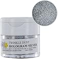 Hologram Silver Twinkle/Disco Dust by GSA