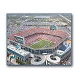 NFL Miami Dolphins Stadium 22x28 Canvas Art