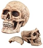 Skull Head Ashtray/Container - Collectible Statue Figurine Smoke