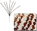 Pack of 12 Ravishing Chocolate Brown Sequin Sprays 24