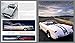 Car: The Evolution of the Automobile (Y)