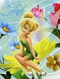 New Disney Thinkerbell Fairy Bloom Royal Plush Raschel Throw Blanket Fairies Twin