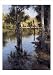 Palms on Water I by Larry Moore poster print,19.8 in. x 27.5 in.
