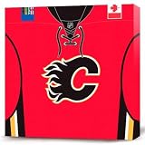 NHL Calgary Flames Dark Jersey Canvas Print (20 x 20)
