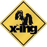 New  Shih Tzu X-Ing / Xing  Crossing Dog
