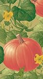 Halloween Hand Towels Halloween Party Supplies Halloween Decorations Entertaining Pumpkin Patch Pk30
