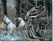 DUCKS UNLIMITED - Beaver Pond Metal Tin Sign 16"W x 12.5"H
