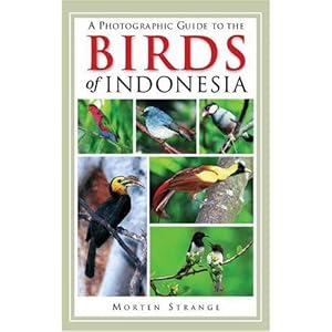 Birds Of Indonesia