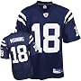 Peyton Manning #18 Indianapolis Colts Youth NFL Replica Player Jersey by Reebok (Royal Blue)