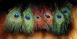 Peacock Eyed Sticks