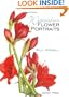 Watercolour Flower Portraits
