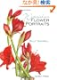 Watercolour Flower Portraits