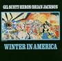 Winter in America (Reis)