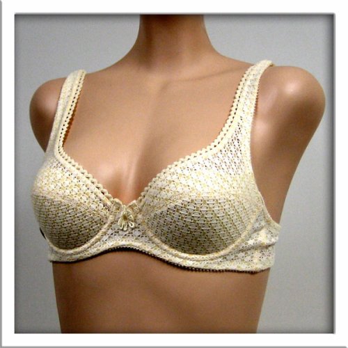 Solb $26 Cream Floral Air Mesh Bra #1313 sz 32A