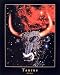 Taurus (Zodiac Series) 16 x 20 Art Print Posters Image