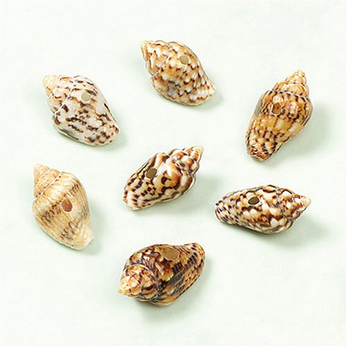 G&uuml;termann / KnorrPrandell 6079253 - Muschel 8x4mm, 30 St&uuml;ck/Beutel Preisvergleich