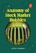 Anatomy of Stock Market Bubbles