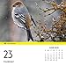 Turner Bird Watching 2016 Photo Daily Boxed (8970000)
