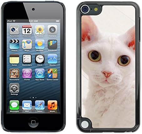 GagaDesign Hard Skin Case Cover Pouch - White Devon Rex Big Ears Cat Pink Nose - Apple iPod Touch 5