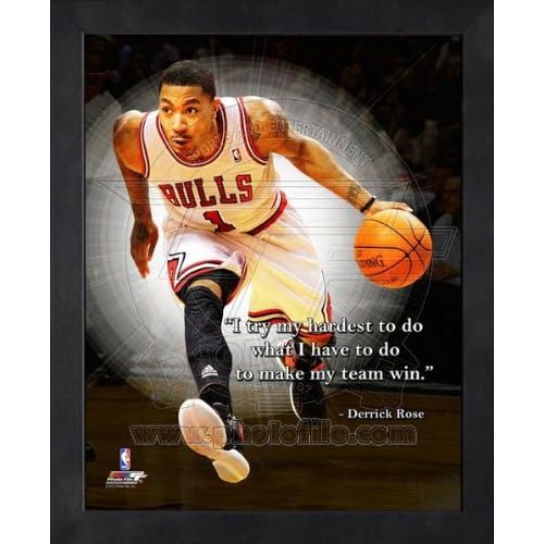 Derrick Rose Chicago Bulls Pro Quotes Framed 16x20 Photo