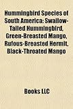 Hummingbird Species of South America: Swallow-Tailed Hummingbird, Green-Breasted Mango, Rufous-Breasted Hermit, Black-Throated Mango-