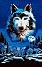 Towel World Wolf Beach Towel