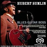 Blues Guitar Boss (Hybr)
