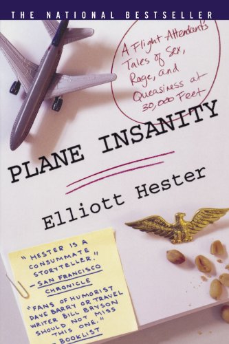 Plane Insanity: A Flight Attendant's Tales of Sex, Rage, and Queasiness at 30,000 Feet