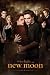 The Twilight Saga: New Moon Movie (Edward & Bella, Group) Poster Print - 24" X 36"