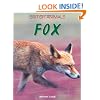 Fox (British Animals)