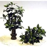 ���i�̏ڍ�