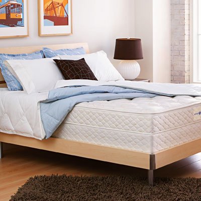 Sleep Number 3000 Mattress by Select Comfort King Size