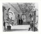 Historic Print (XL): Entrance Hall of Mr Chas. Green's house, Savannah Ga, now occupied as Head Quarters by G