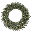 36" Pre-Lit Camdon Fir Artificial Christmas Wreath - Warm Clear LED Lights