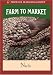 Farm to Market: Nuts