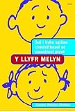 Y llyfr melyn : sut i hybu sgiliau cymdeithasol ac emosiynol plant