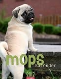 Produkt-Bild: Mops Kalender 2012