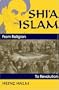 Shi'a Islam: From Religion to Revolution (Princeton Series on the Middle East)
