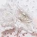 Richie House Little Big Girls' Fashion Princess Dress Hollow Design RH1593