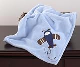 Zoom Along Sherpa Blanket