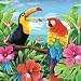 Search : Hawaiian Tropics Beverage Napkins, 16ct