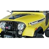 1972-1973 Jeep Renegade Decal and Stripe Kit by Phoenix Graphix
