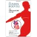 The Circulatory System (The Human Body: How It Works)